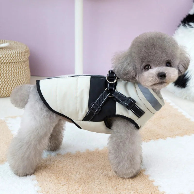 Padded Winter Dog Jacket with Built-In Harness – Reflective Zipper Coat for Small Dogs & Cats
