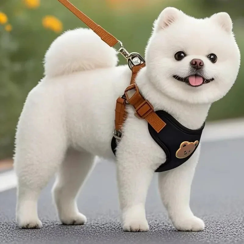 Cute Bear Pattern Dog Harness & Leash Set – Breathable Adjustable Vest for Small Dogs