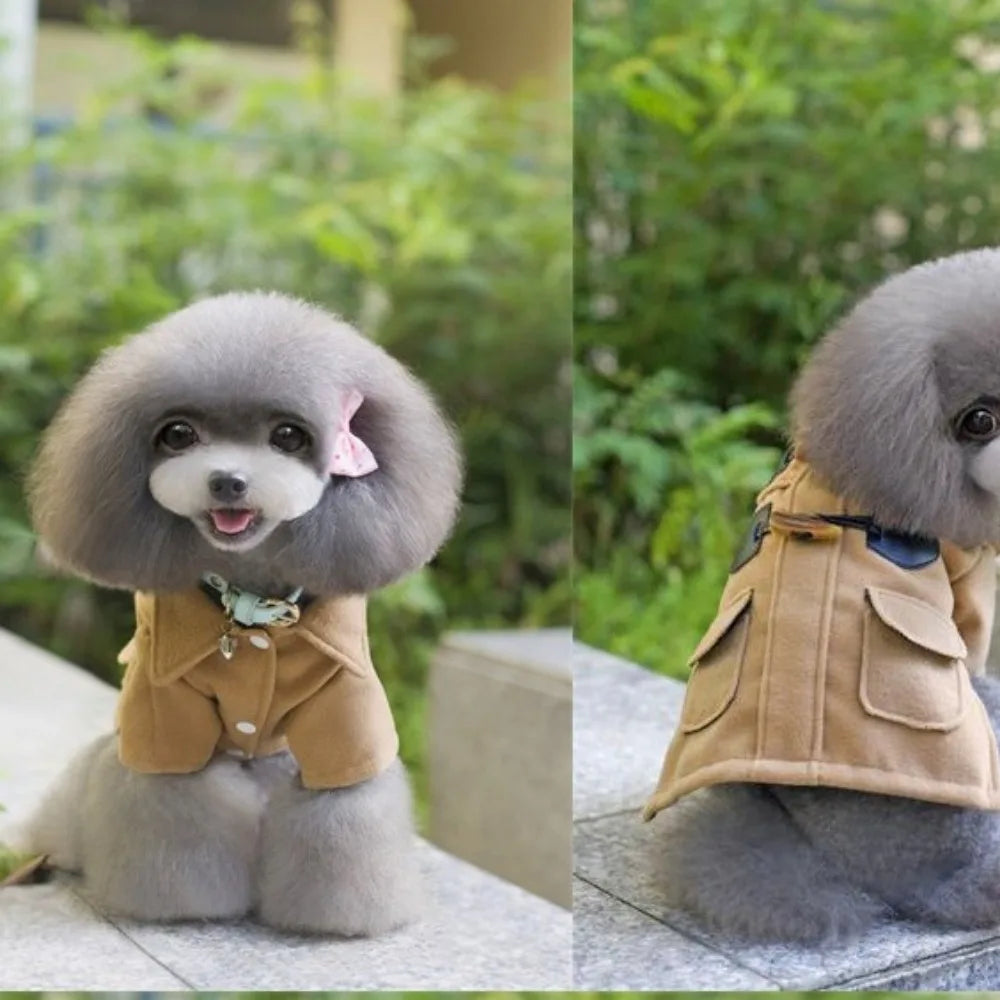 Small dog wearing a beige coat with a pink bow and another coat with pockets outdoors.