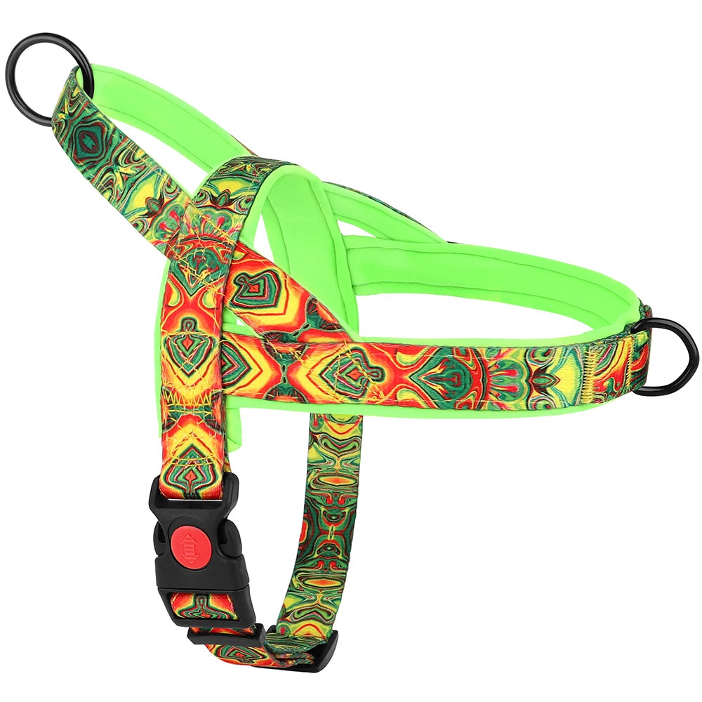 Colorful dog harness with geometric pattern on a white background