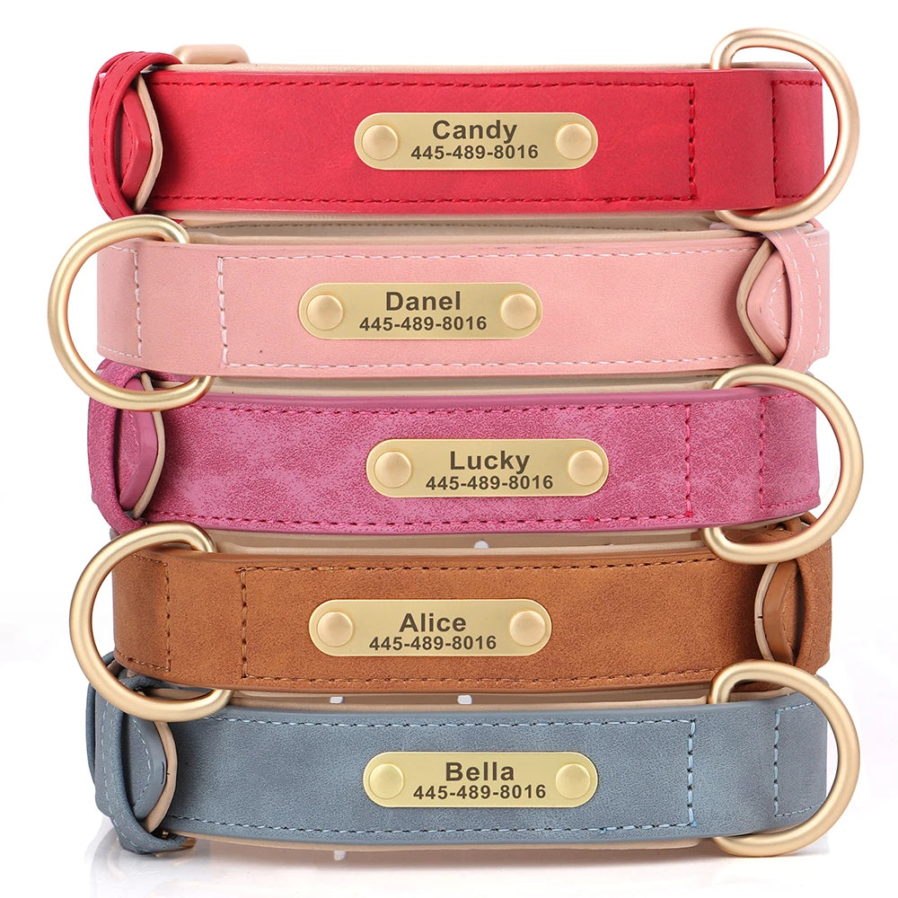 Personalized PU Leather Dog Collar & Leash Set – Free Custom ID Nameplate