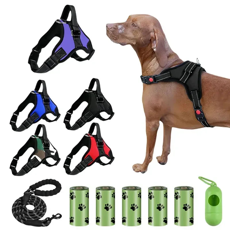 Dog harnesses in various colors with a dog, leash, and waste bags on a white background
