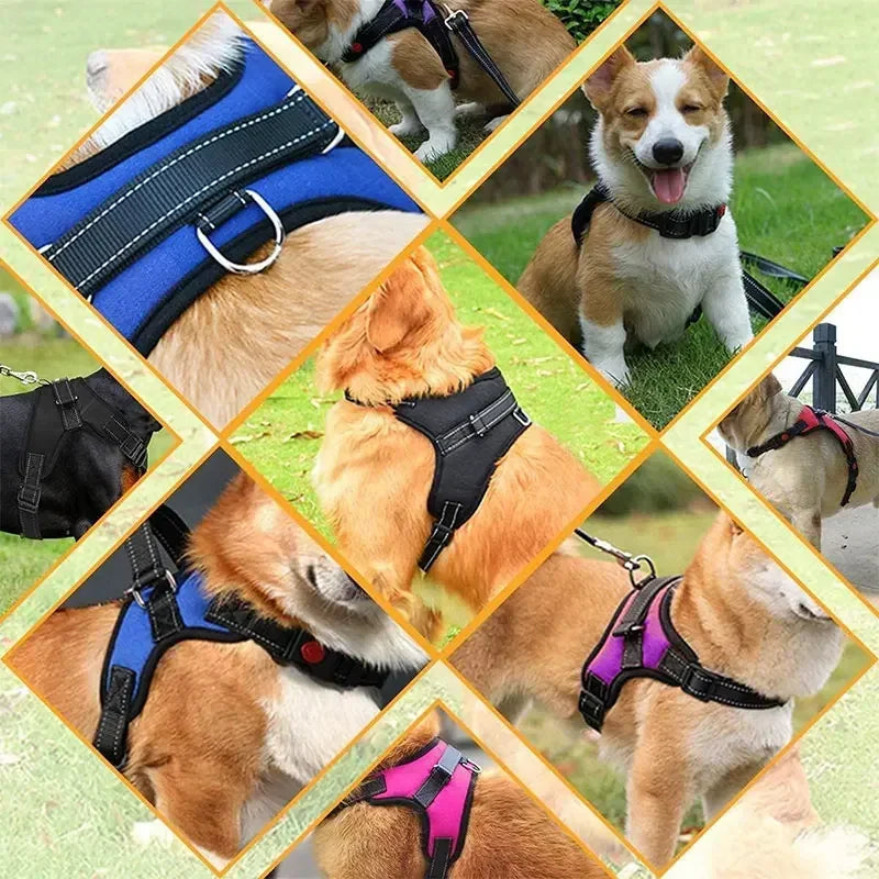 Collage of dogs wearing various dog harnesses in different colors.