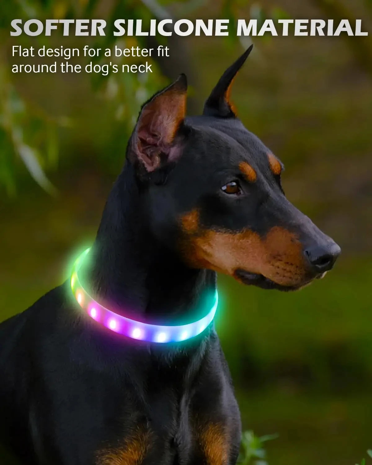 USB Rechargeable RGB LED Dog Collar