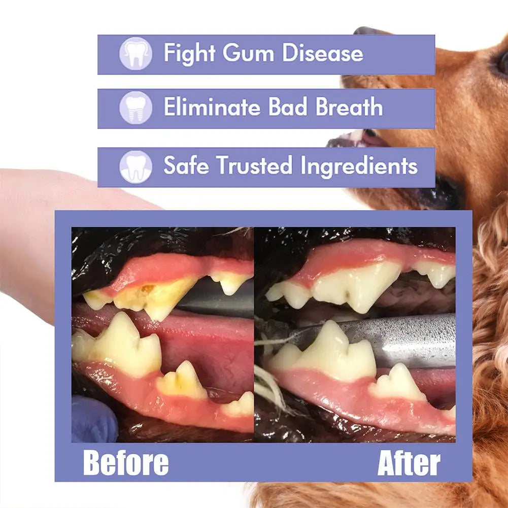 Pet Dental Spray – Reduces Plaque, Tartar & Bad Breath for Dogs & Cats (30ml)