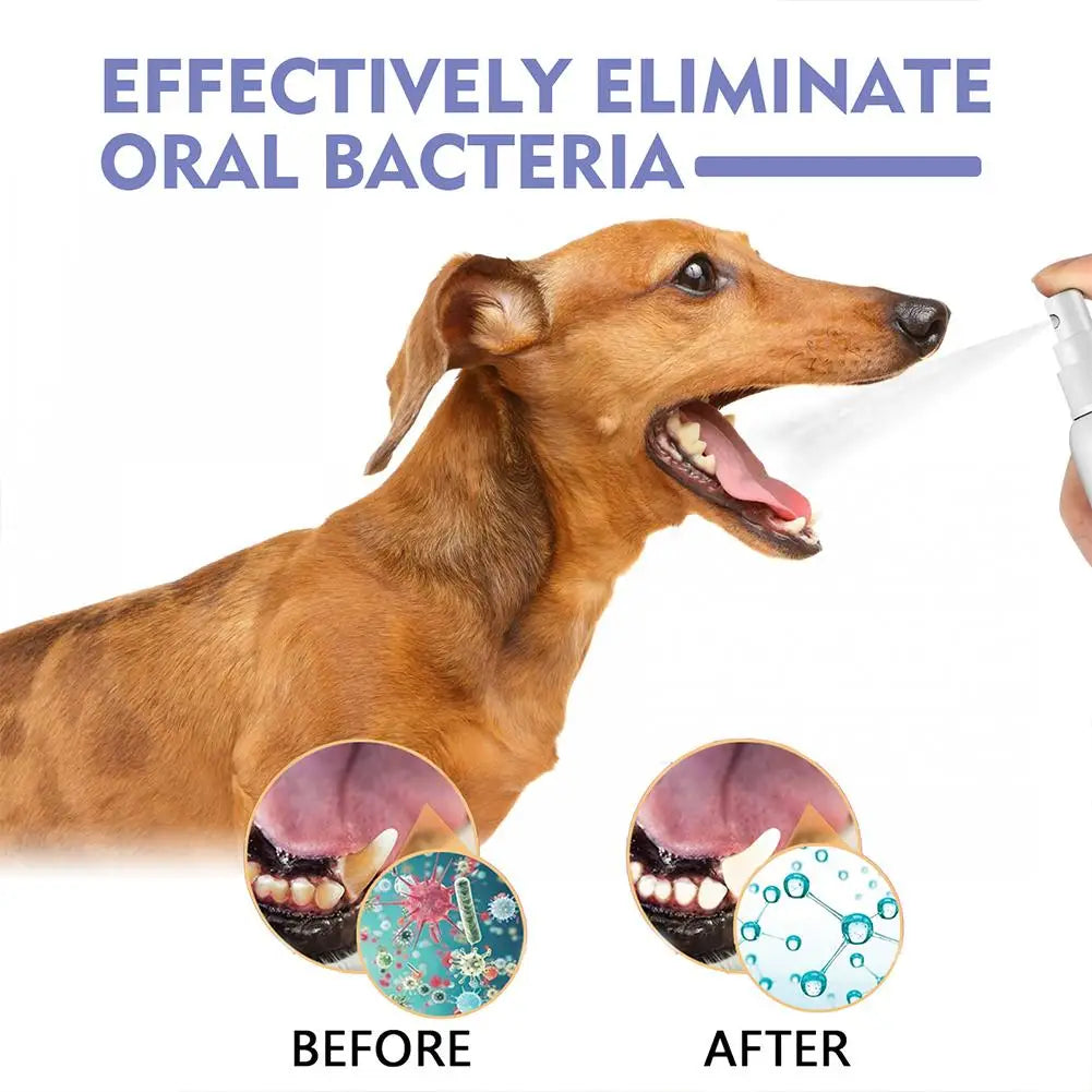 Pet Dental Spray – Reduces Plaque, Tartar & Bad Breath for Dogs & Cats (30ml)