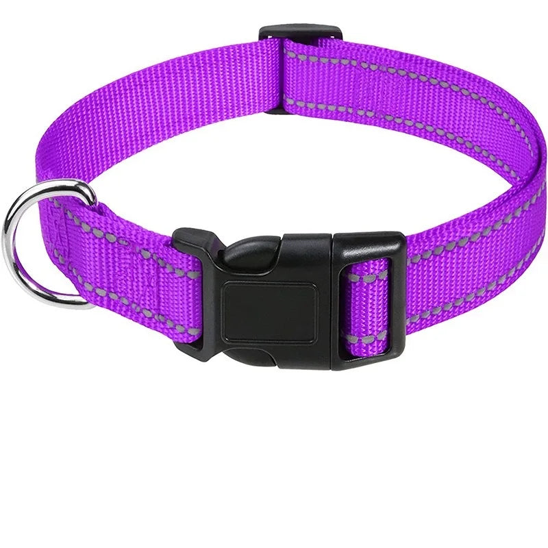 Decorative Choker Dog Collar – Puppy Neck Collar for Small & Large Dogs