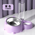 Tilted Pet Bowl Set with Automatic Water Dispenser – No-Spill Food & Water Feeder