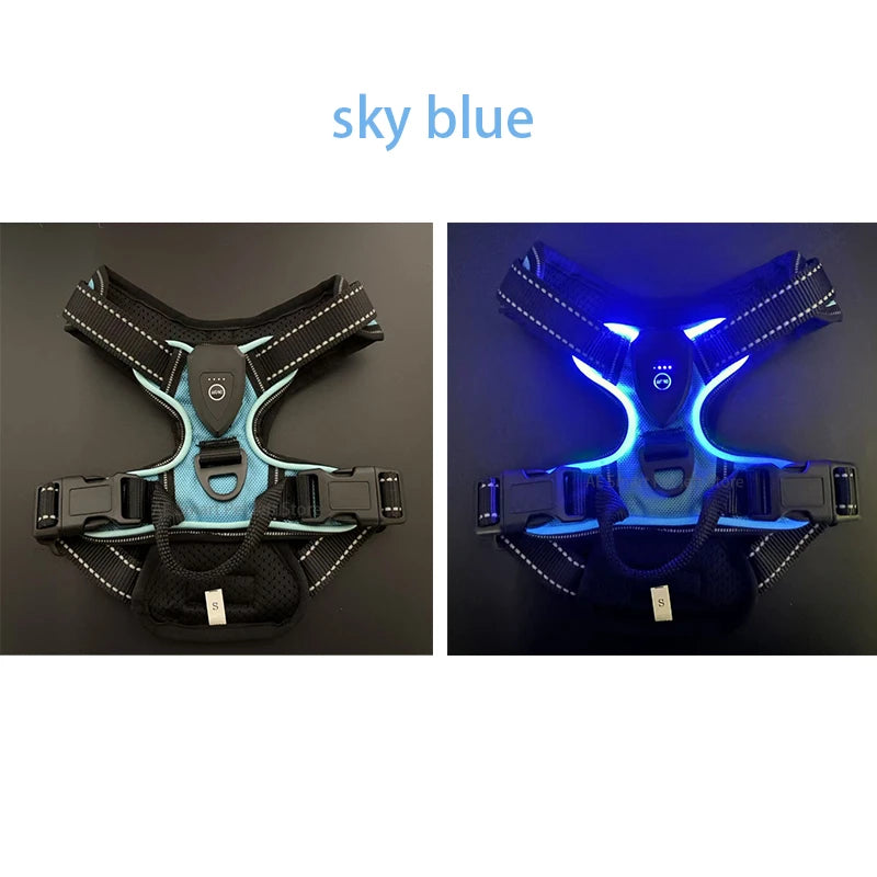 LED Light-Up Dog Harness Vest – USB Rechargeable, No-Pull, 3 Light Modes for Night Walking