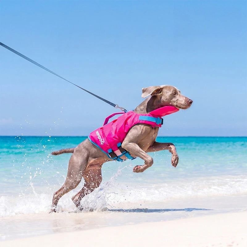 Dog Life Jacket for Medium & Large Dogs – High-Buoyancy Safety Swim Vest