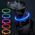 USB Rechargeable LED Dog Glow Collar – Cut to Fit