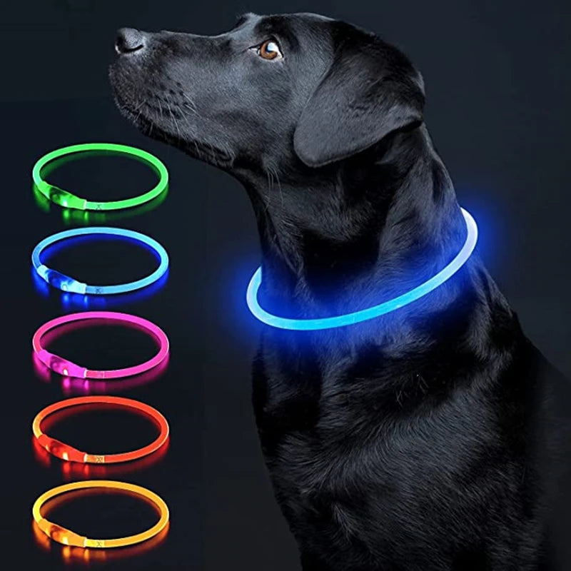 USB Rechargeable LED Dog Glow Collar – Cut to Fit