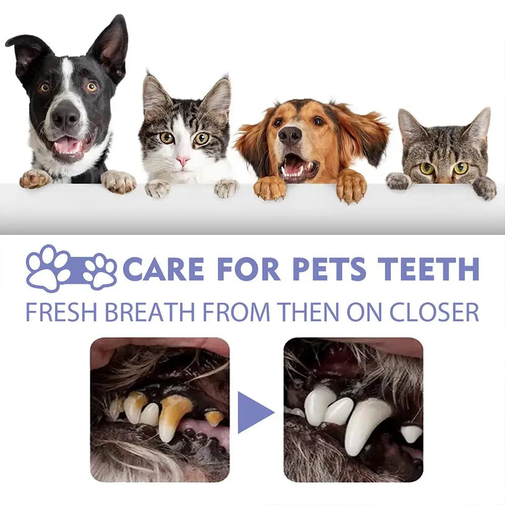 Pet Dental Spray – Reduces Plaque, Tartar & Bad Breath for Dogs & Cats (30ml)