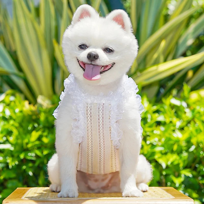 Princess Mesh Dog Vest with Bow & Lace – Summer Sling Dress for Small Dogs & Cats