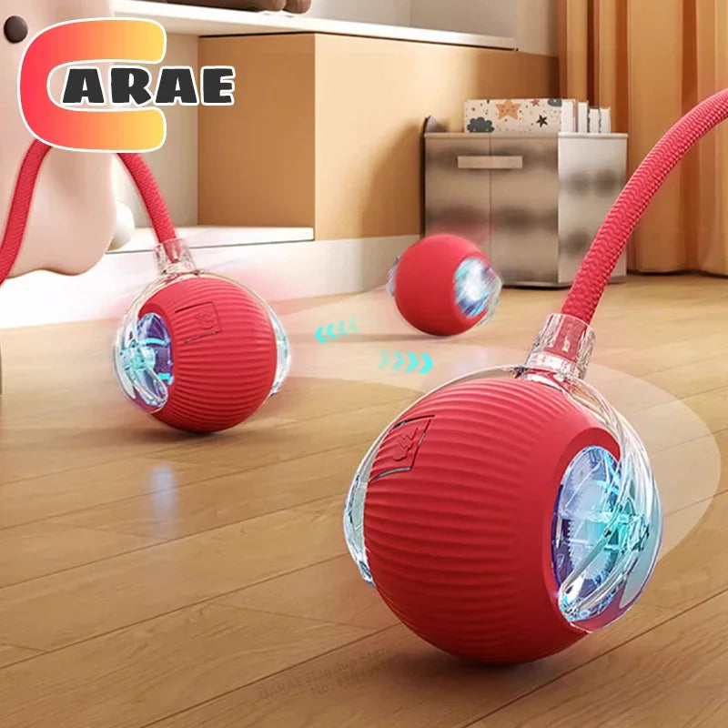 Interactive Rolling Ball Cat Toy with Tail – USB Rechargeable