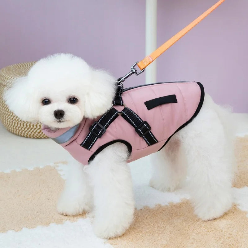 Padded Winter Dog Jacket with Built-In Harness – Reflective Zipper Coat for Small Dogs & Cats