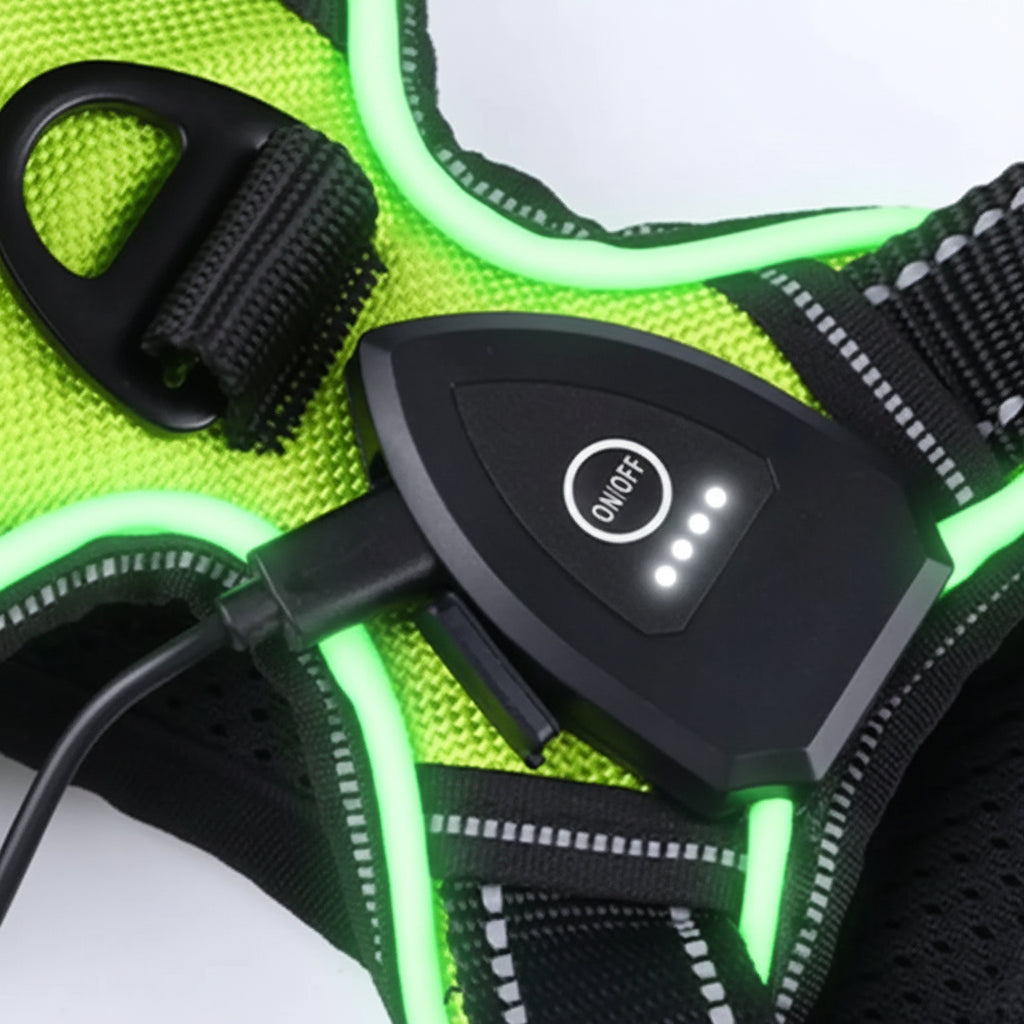 LED Light-Up Dog Harness – USB Rechargeable Glow Vest for Night Walking