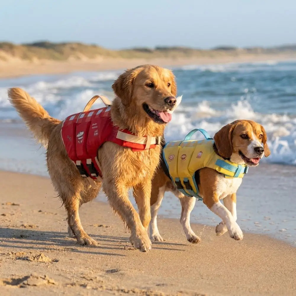 Waterproof Dog Life Jacket – High Buoyancy Thick Sponge Pad Safety Vest for Swimming