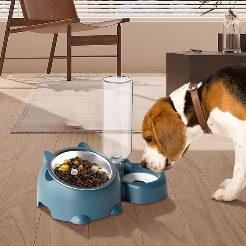 Tilted Pet Bowl Set with Automatic Water Dispenser – No-Spill Food & Water Feeder