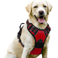 Dog wearing a red and black harness on a white background