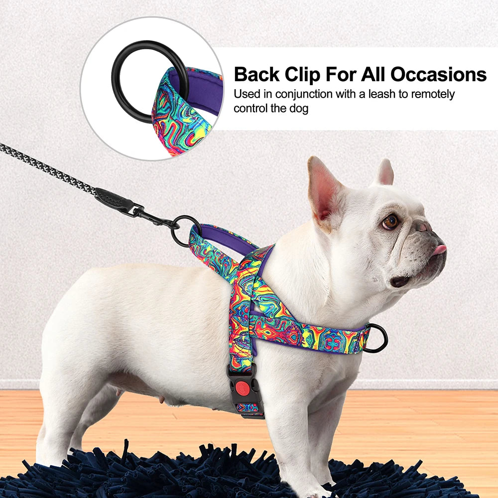 Dog wearing a colorful harness with a back clip on a wooden floor.
