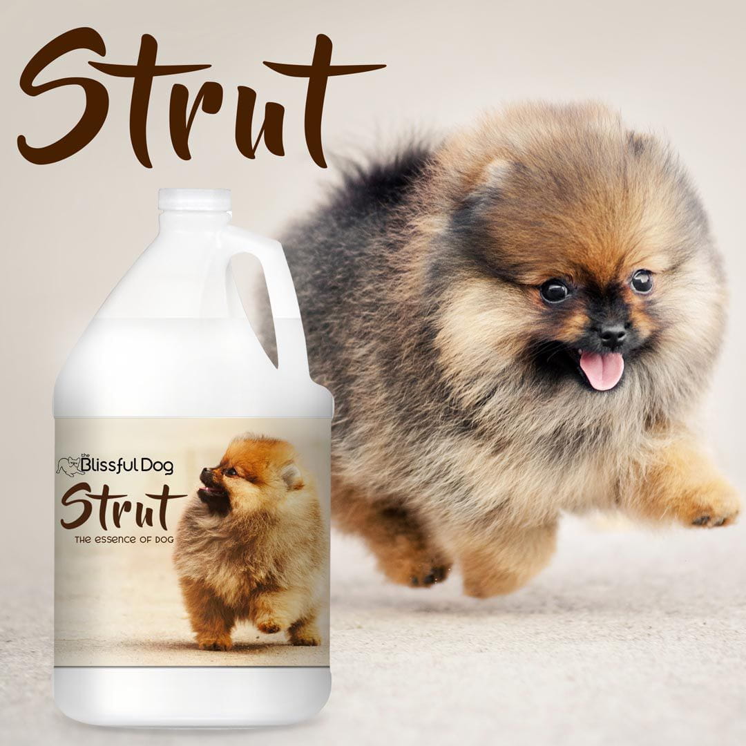 Strut Dog Cologne for the Ruler of the Kingdom