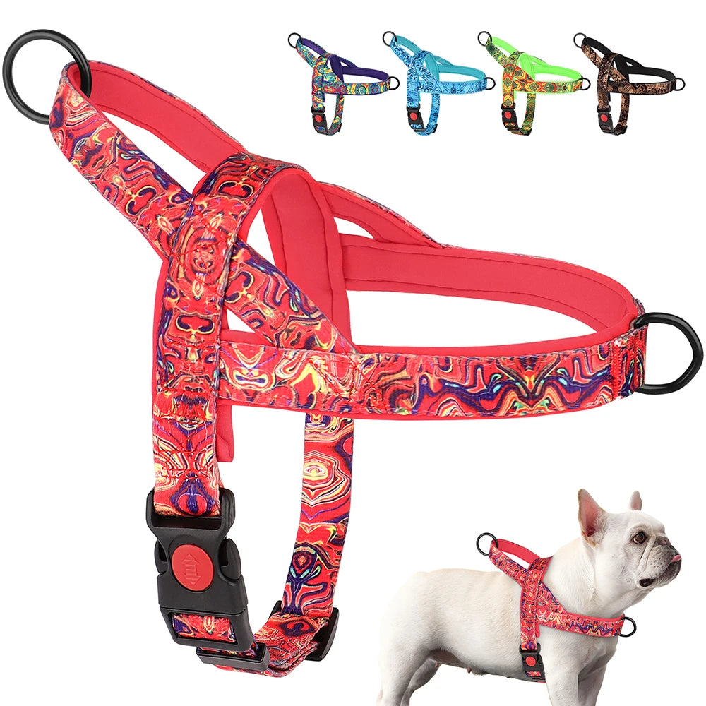 Colorful dog harness with a pattern, displayed on a white background.