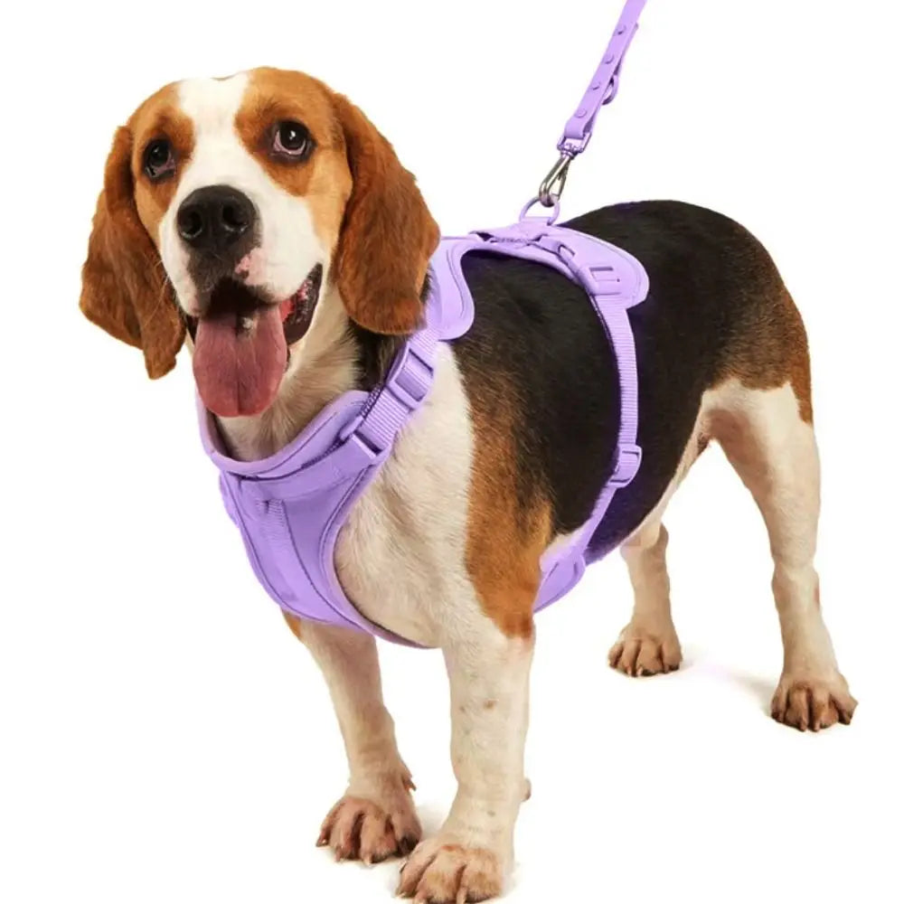 Candy Color Reflective Dog Harness Vest – Adjustable PVC Chest Strap for Outdoor Walking