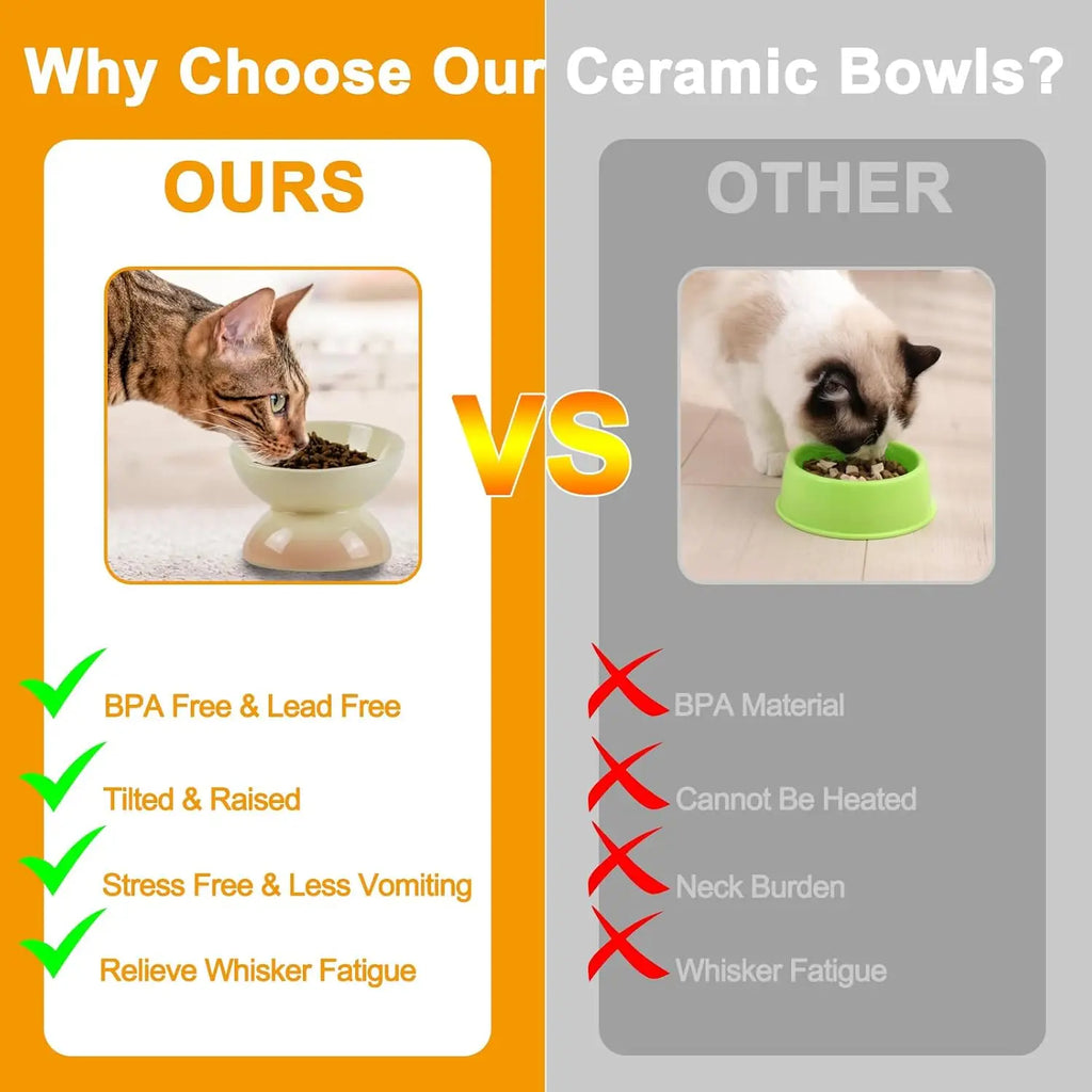 Tilted Ceramic Elevated Cat Bowl – Dishwasher & Microwave Safe Pet Feeder