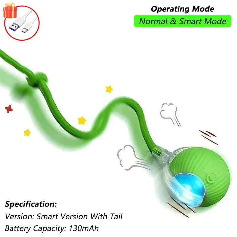 Interactive Rolling Ball Cat Toy with Tail – USB Rechargeable