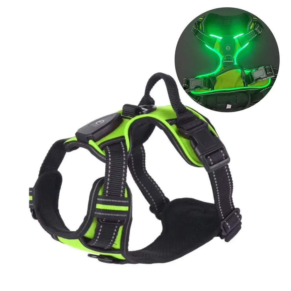 LED Light-Up Dog Harness – USB Rechargeable Glow Vest for Night Walking