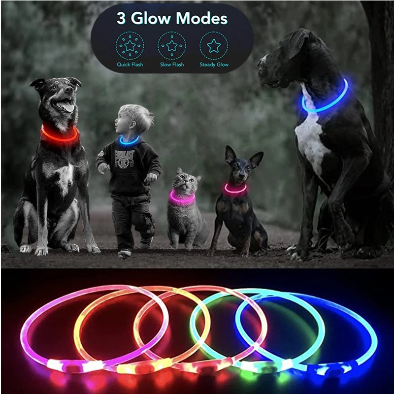 USB Rechargeable LED Dog Glow Collar – Cut to Fit