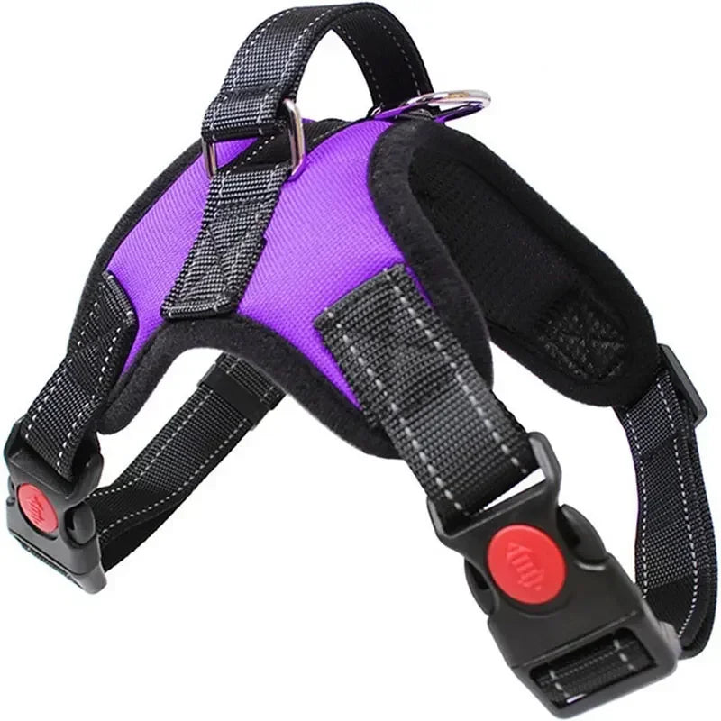Purple dog harness with black straps and red buttons on a white background