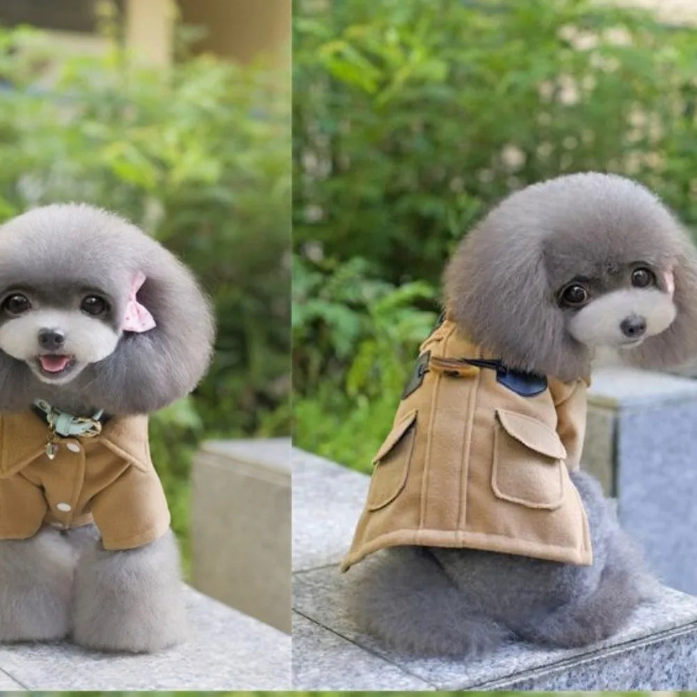 Two images of a small dog with a haircut, wearing a beige outfit, sitting outdoors.