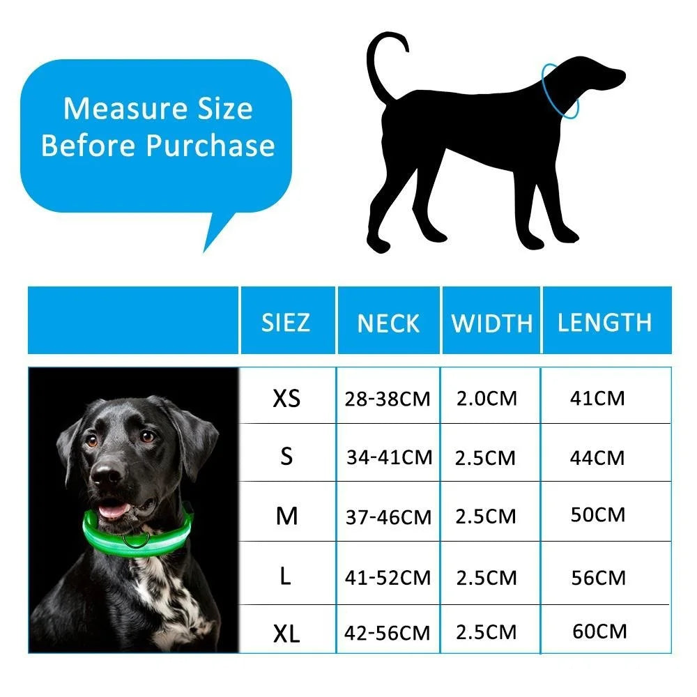Reflective Nylon LED Dog Collar – 3 Light Modes