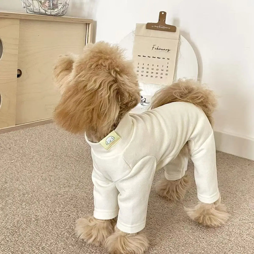 Harness & Collars