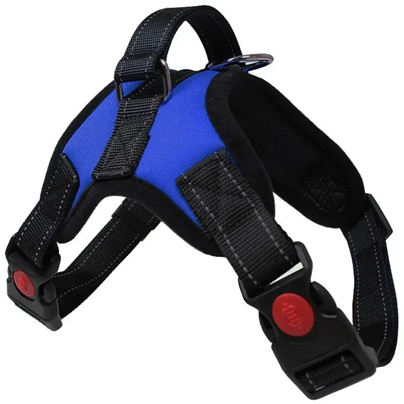 Blue and black dog harness with red buttons on a white background