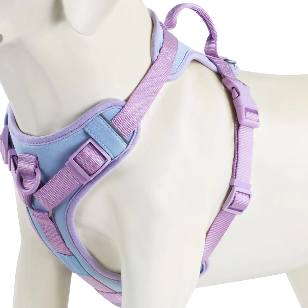 Splicing Colors No-Pull Dog Harness – Breathable Adjustable Vest for Small to Large Dogs