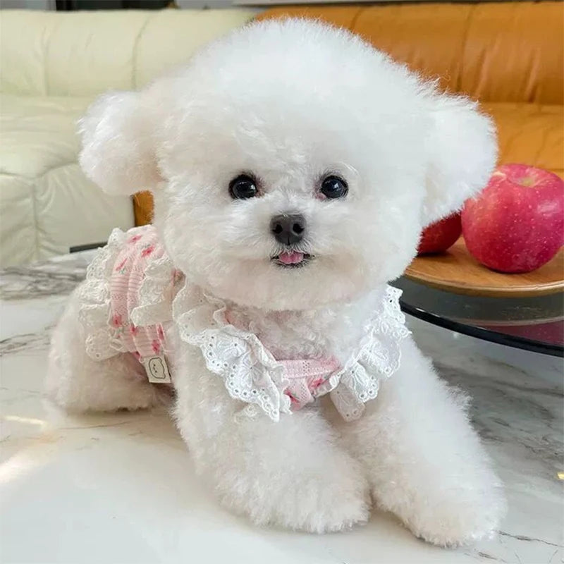 Fashion Bow Suspender Dog Vest – Floral Lace Summer Shirt for Small Dogs & Cats