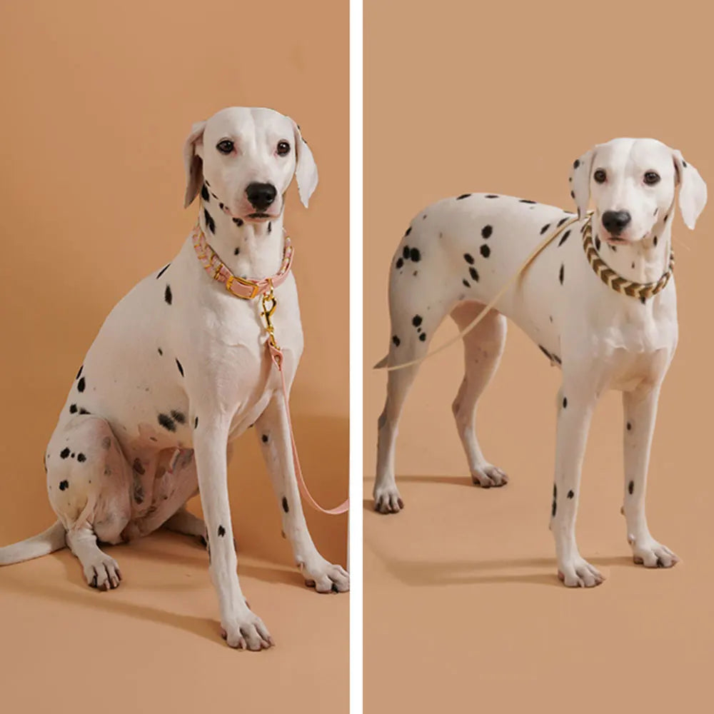 Handmade Fashion Dog Collar – Colorful Neck Ring for Small, Medium & Large Dogs