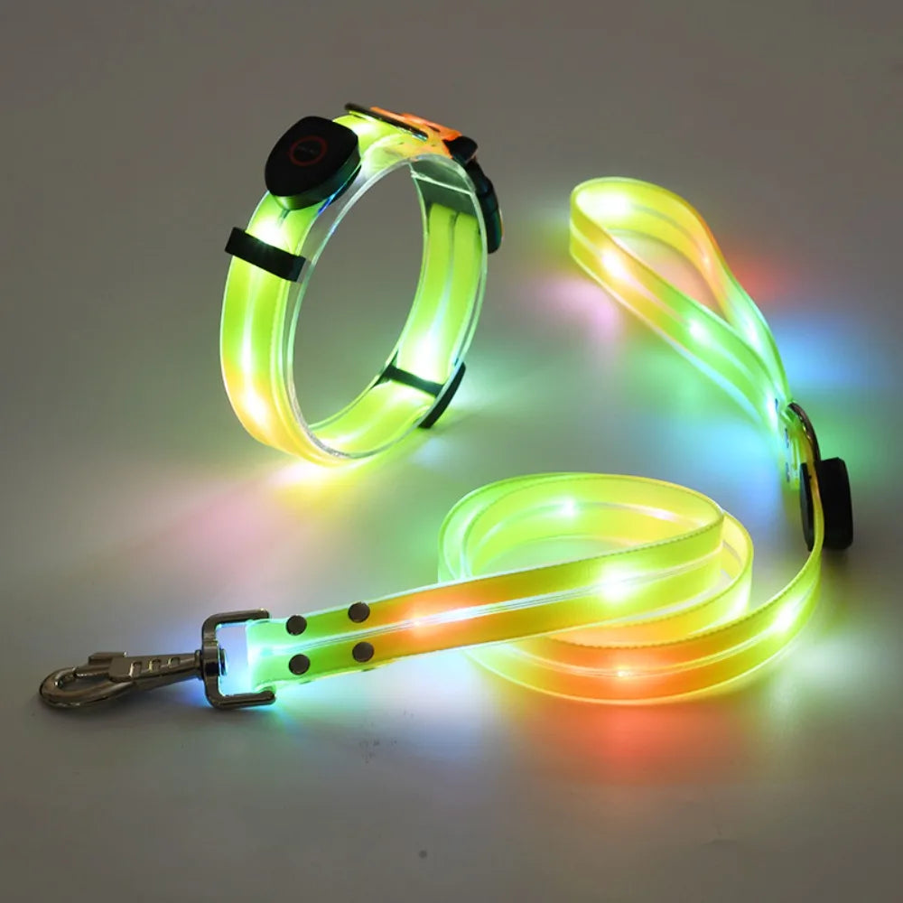 Glowing dog collar and leash set on a white background
