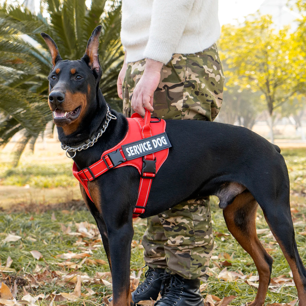 Service Dog Vest Harness with Handle – Adjustable Reflective Outdoor Harness for Dogs