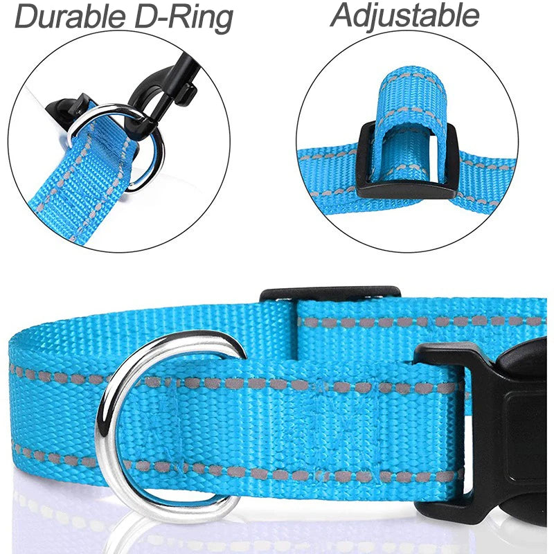 Decorative Choker Dog Collar – Puppy Neck Collar for Small & Large Dogs