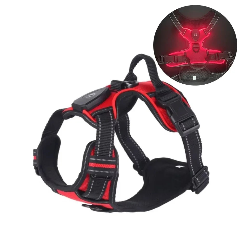LED Light-Up Dog Harness – USB Rechargeable Glow Vest for Night Walking