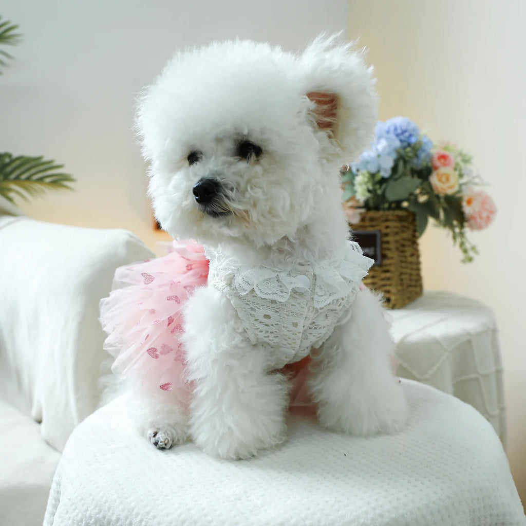 Pink Heart Puff Skirt Princess Dress for Dogs