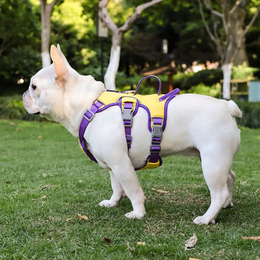 Reflective Oxford Dog Harness Vest with Handle – Adjustable, Breathable & Escape-Proof