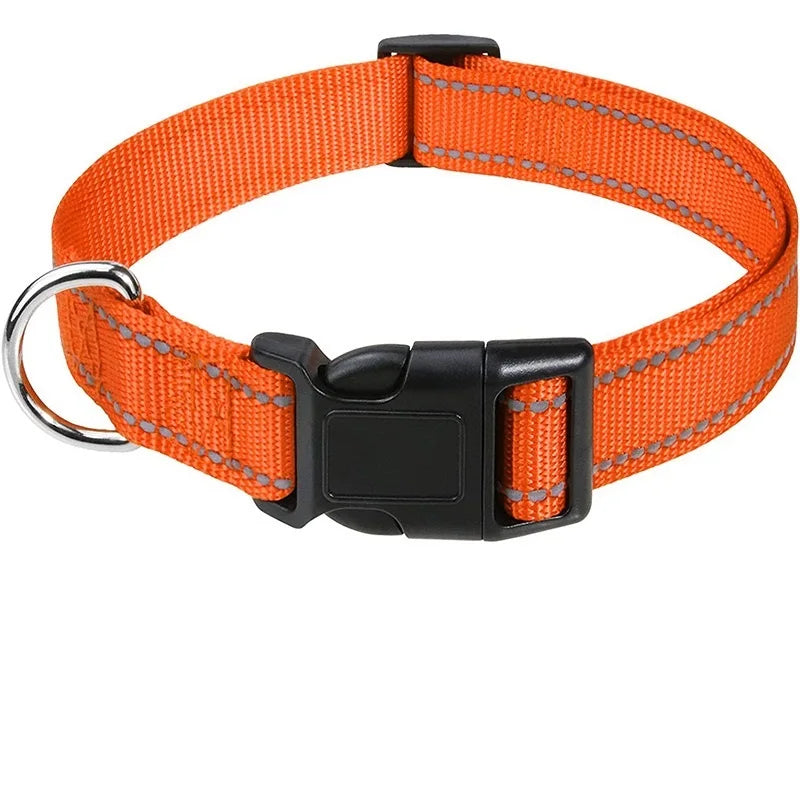 Decorative Choker Dog Collar – Puppy Neck Collar for Small & Large Dogs