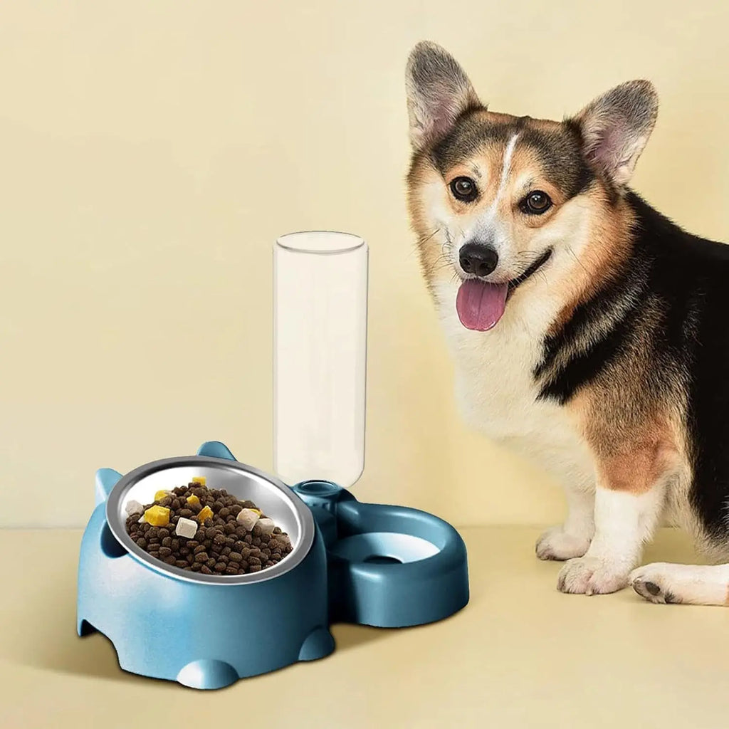 Tilted Pet Bowl Set with Automatic Water Dispenser – No-Spill Food & Water Feeder