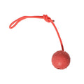 Rubber Rope Ball Dog Chew Toy – Indestructible Molar & Training Toy