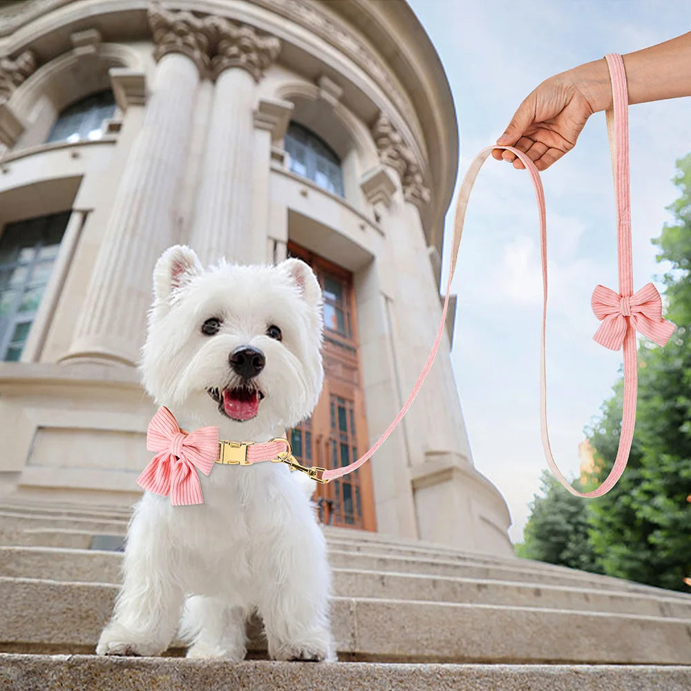 Cute Bowknot Dog Collar & Leash Set – Soft Velvet Walking Lead for Small & Medium Dogs